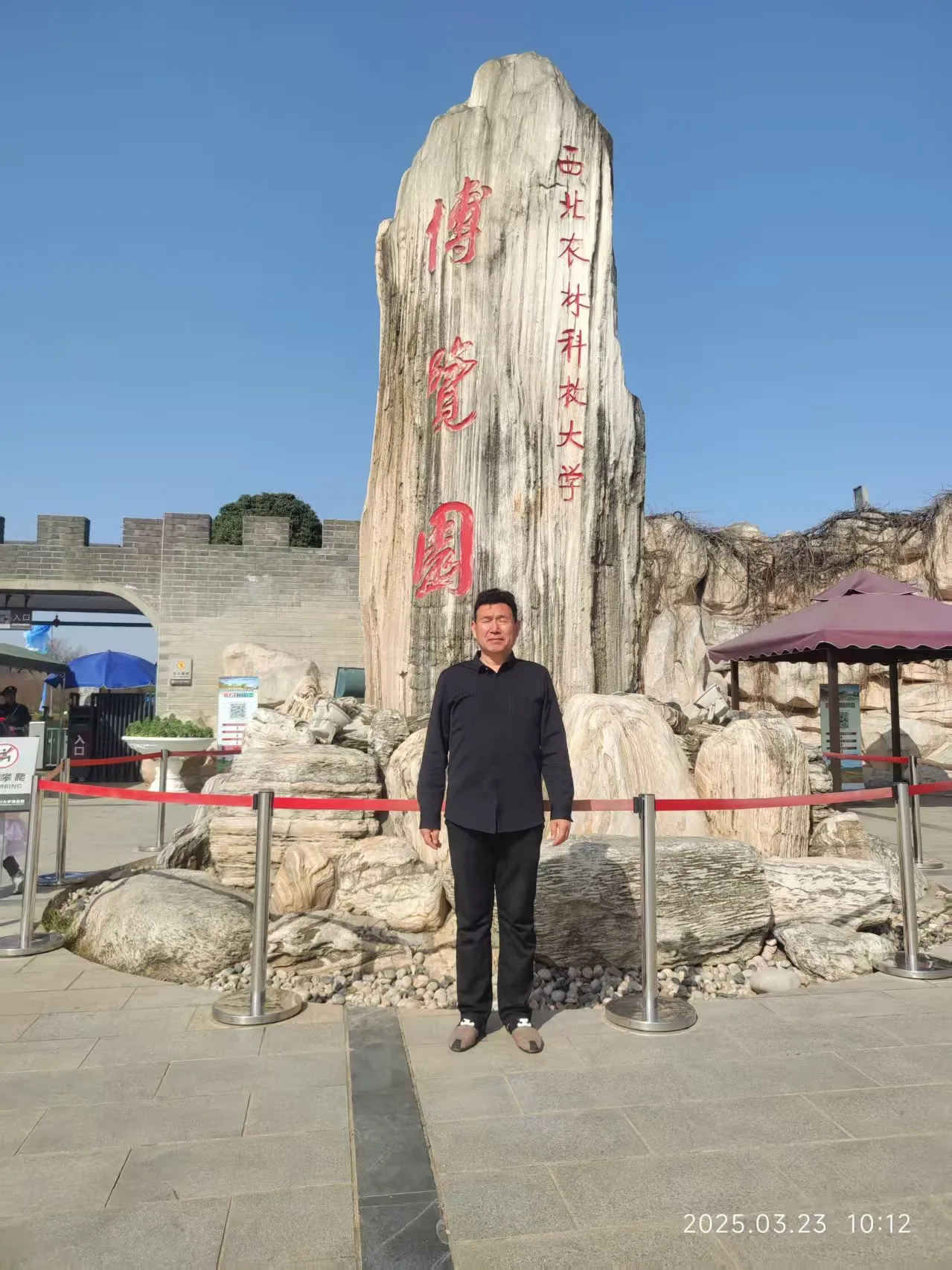 行业新闻-春季双优二号小麦品种回访